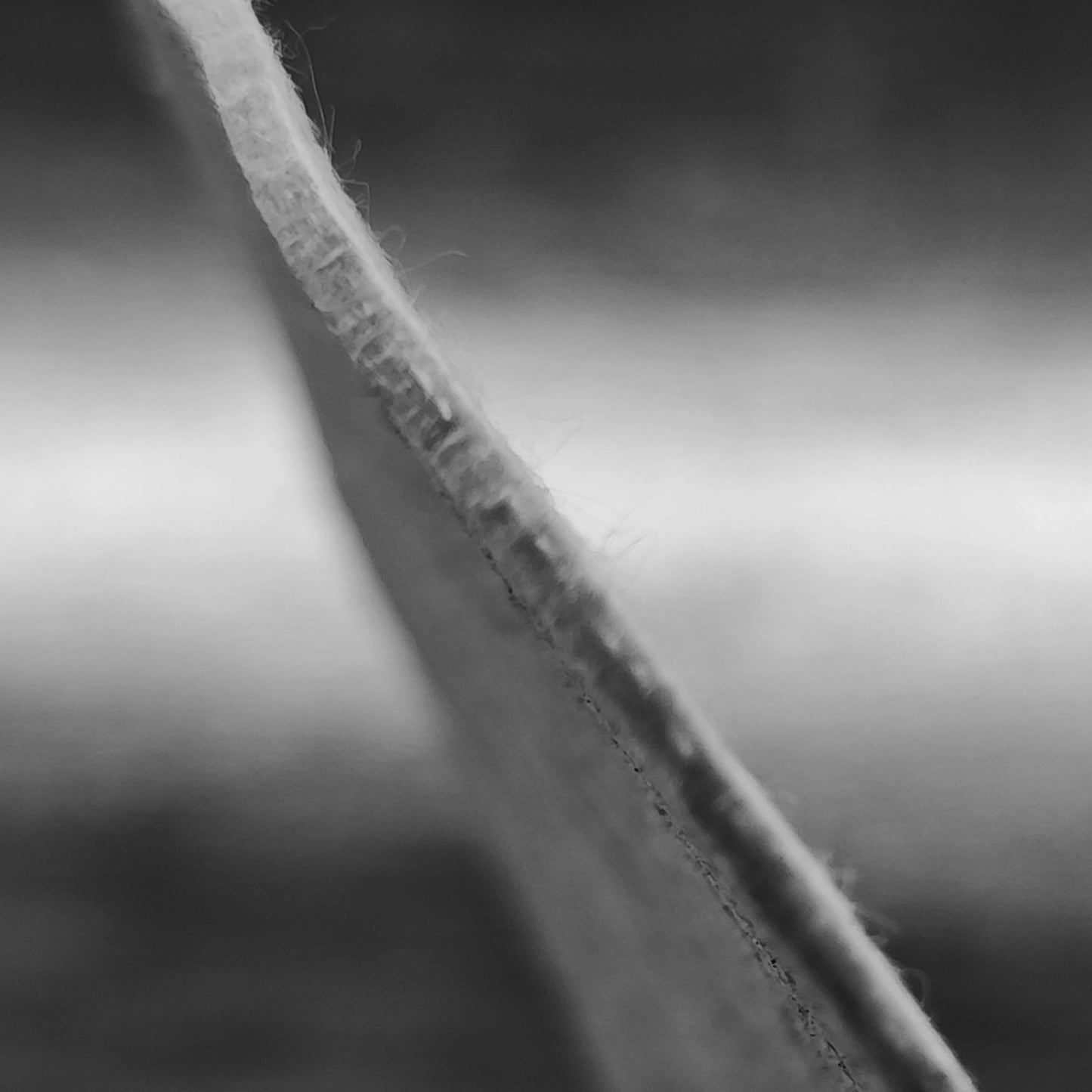 52bd9482-12dd-42e8-b107-9f5aefa94003