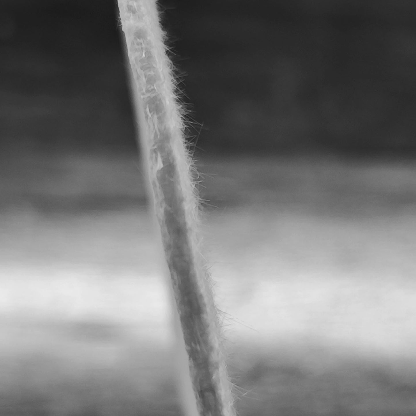 008d98f7-6778-4f89-8186-ead25dfe80f9